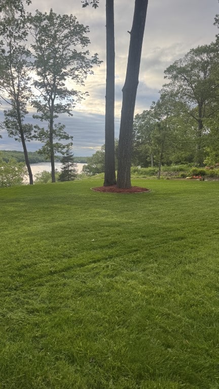 A well-maintained grassy lawn with two tall trees in the center, bordered by red mulch, showcases expert landscape construction. In the background, a lake and trees sit under a cloudy sky, reflecting Nyman Services' attention to detail.