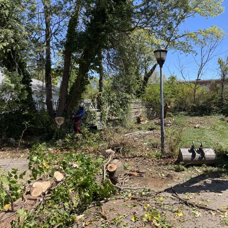 On a sunny day, a person from Nyman Services is cutting down trees and clearing branches in a yard, with fallen logs and debris scattered around—perfect preparation for landscape construction.